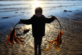 Number 1 son with seaweed